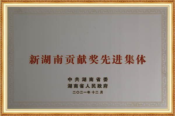 新湖南孝顺奖先进整体2021年12月